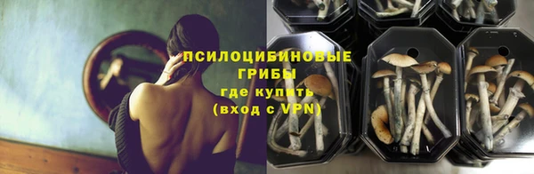 эйфоретик Арсеньев