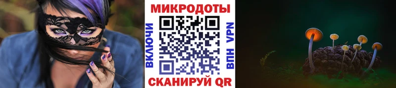 что такое   Сковородино  Псилоцибиновые грибы прущие грибы 